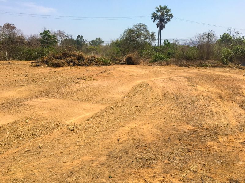 Post-Removal Land Restoration