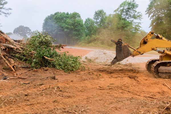 Ground Clearing in Colorado Springs