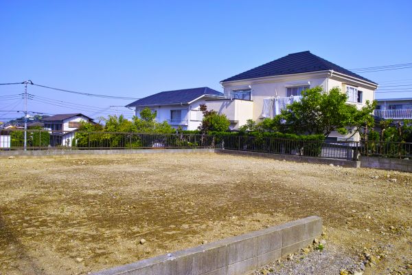 Cost of Lot Clearing Service in Colorado Springs