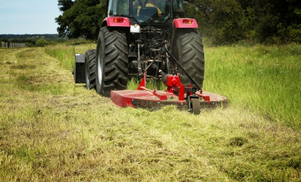 Brush Clearing Service in Colorado Springs