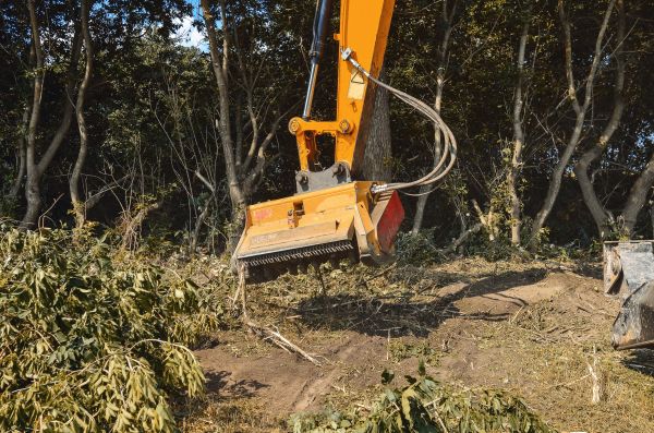 Brush Removal Service in Colorado Springs