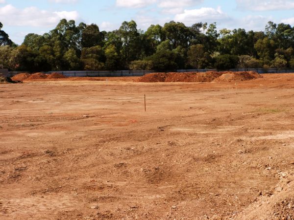Cost of Field Clearing in Colorado Springs