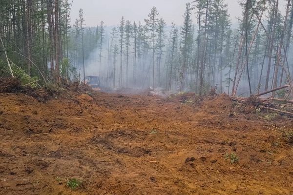 Cost of Hill Clearing in Colorado Springs