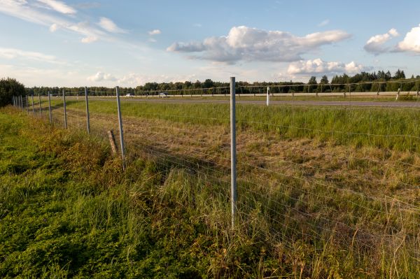 Cost of Property Line Clearing in Colorado Springs